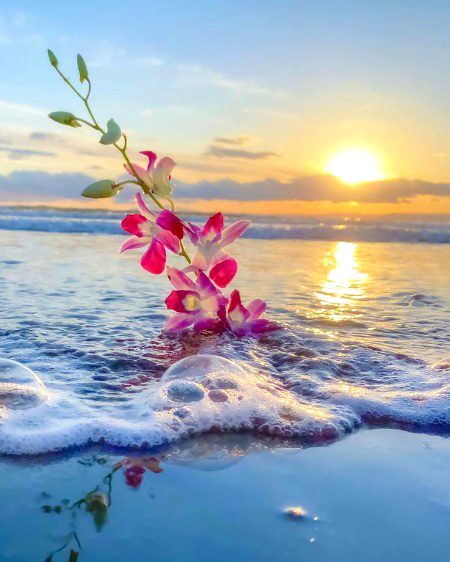 Beautiful Nature image
