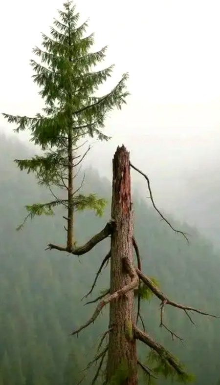 Beautiful Nature image