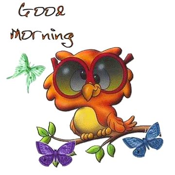 Have A Nice Day 🌹🌹