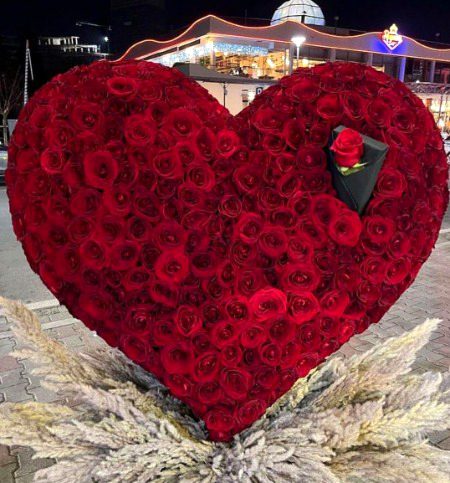 Beautiful Nature image