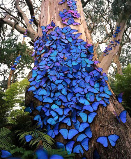 Beautiful Nature image