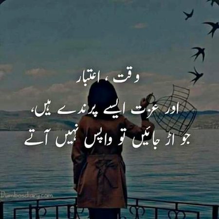 bilkul 🌹🍀🌹🌹🍀