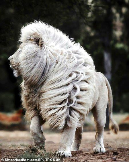 Beautiful Nature image