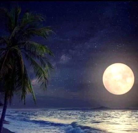 Beautiful Nature image