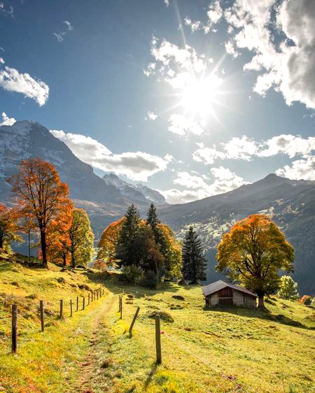 Beautiful Nature image