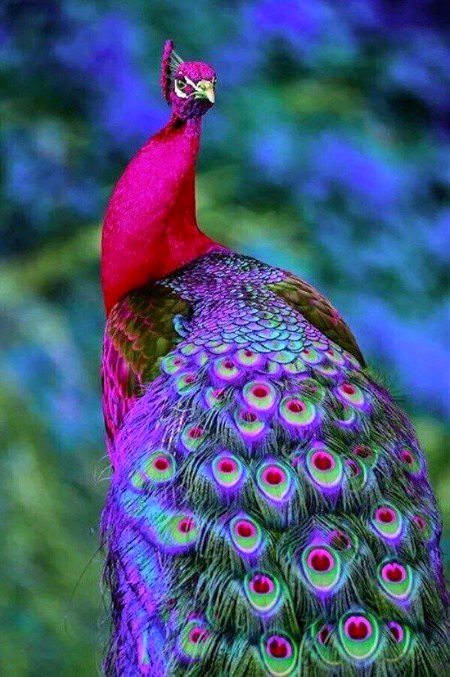 Beautiful Nature image