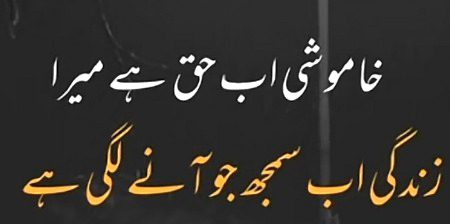 Sad Poetry image