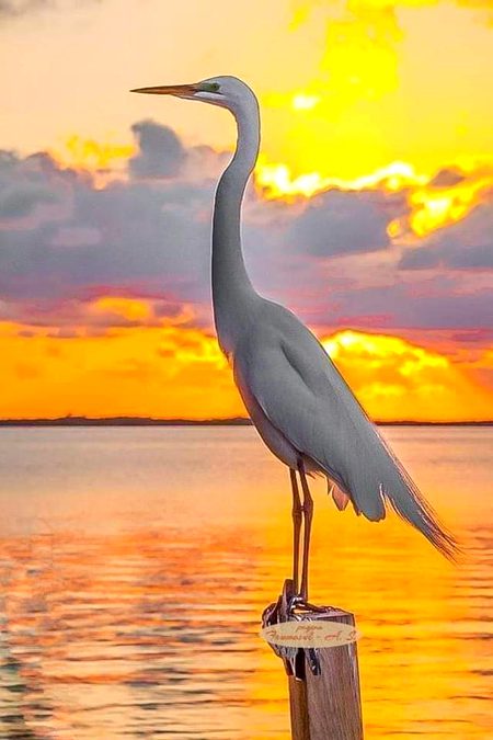 Beautiful Nature image