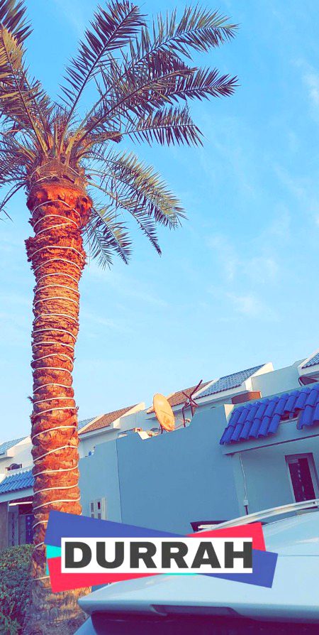 Beautiful Structures image