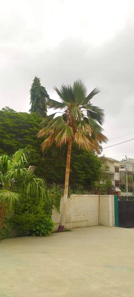 فراقِ یار کی  بارش،ملال کا موسم
ہمارے شہر میں اتر آیا ہے کمال کا موسم💞