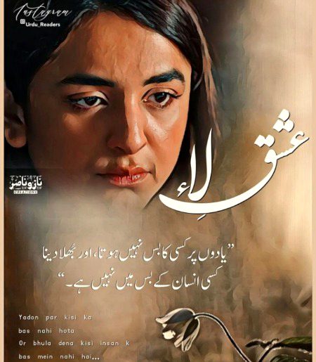 Romantic Novels image