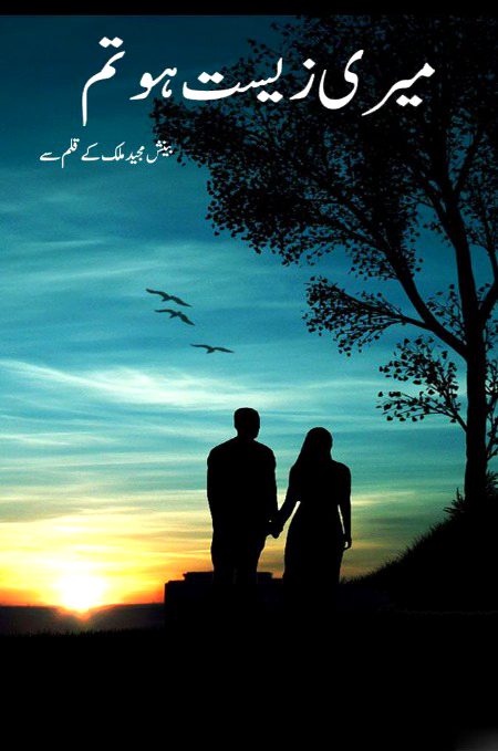 Romantic Novels image