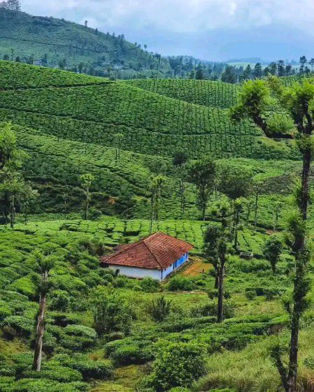Beautiful Nature image