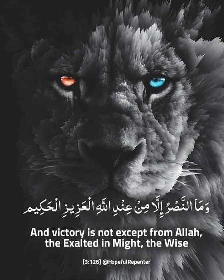 Islamic Quotes image