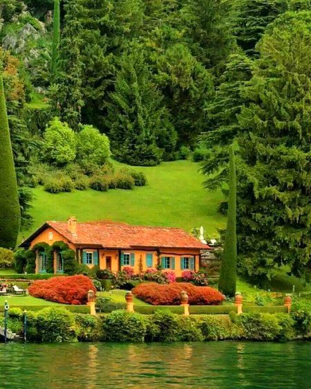Beautiful Nature image