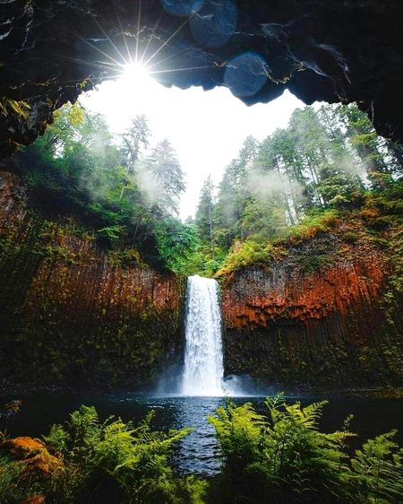 Beautiful Nature image