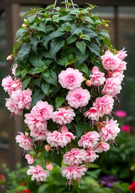 Beautiful Nature image