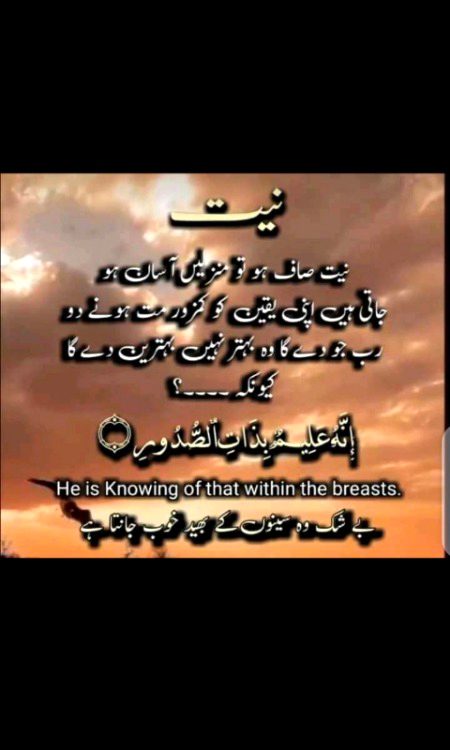 Islamic Quotes image