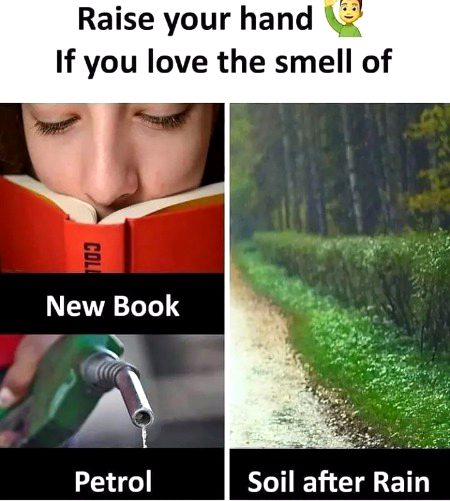 Memes & Satire image