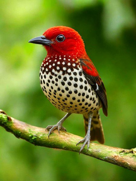 Nature❤❤