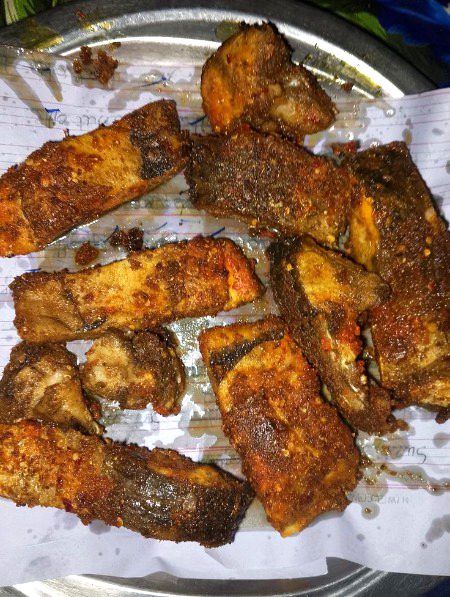 sok khowrii🐟🐬🦈