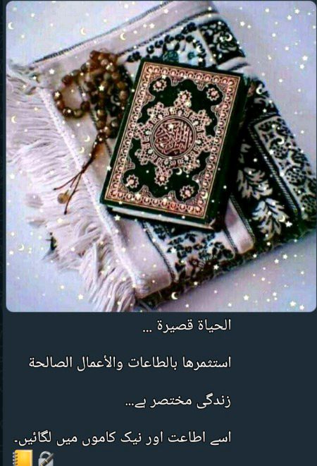 Absolutely right