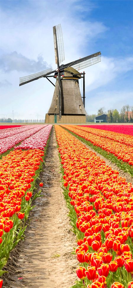 Beautiful Structures image