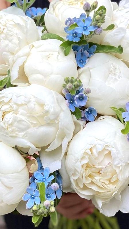 Beautiful Nature image