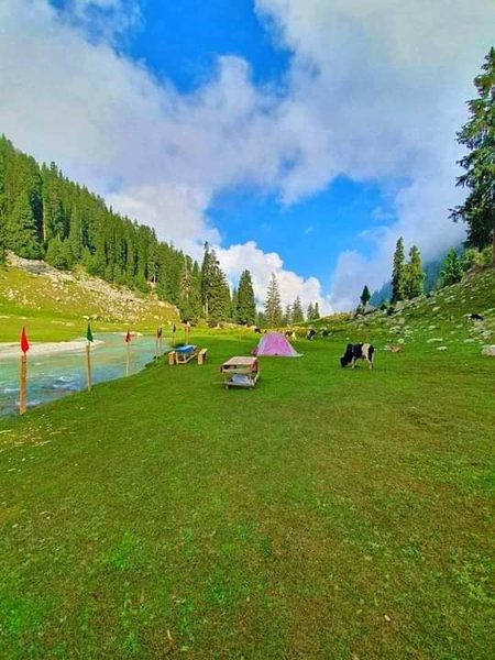 Beautiful Nature image