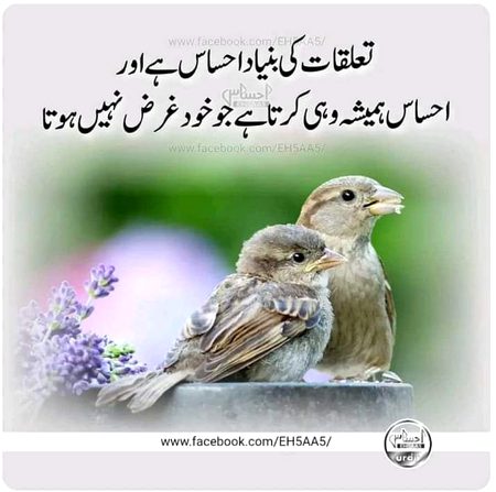 Bht kam hote hn ahsas krne wale