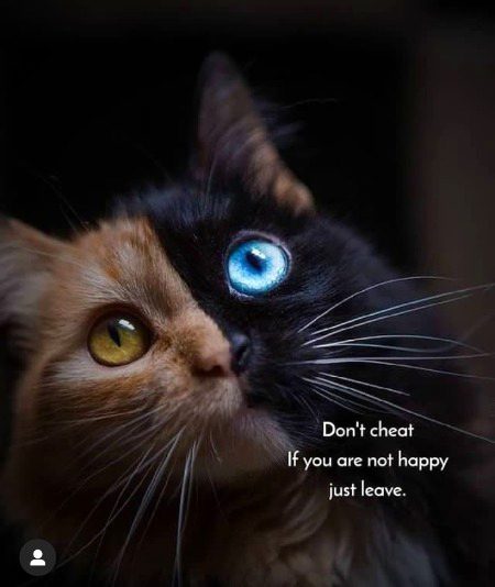 Life Advice image