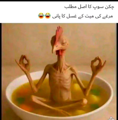 Memes & Satire image