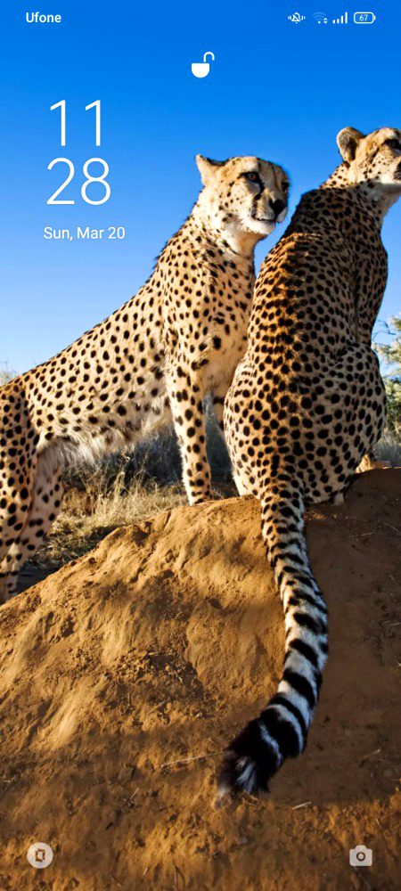 Beautiful Nature image