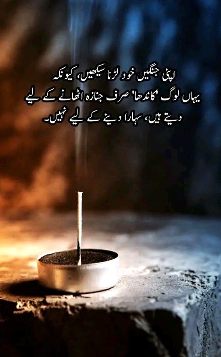 Right na apni jhngy khud lary 😐💔