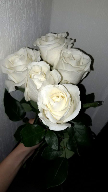 Beautiful Nature image