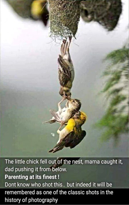 Beautiful Nature image
