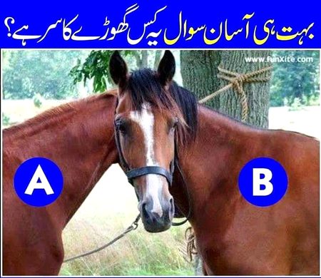 Riddles & Puzzles image