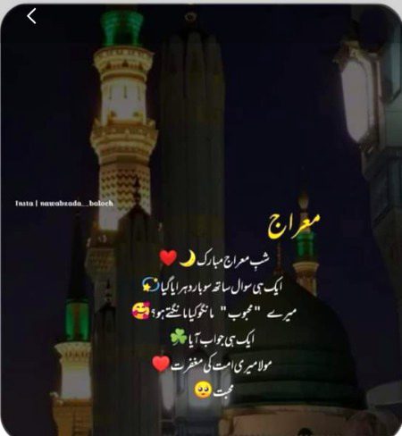 ѕнαнzαιв, Say Subhan Allah