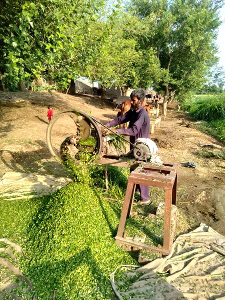 Beautiful Nature image