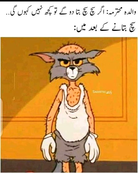 Memes & Satire image