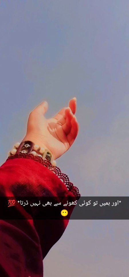 *اور ہمیں تو کوئی کھونے سے بھی نہیں ڈرتا* 💯😶✅😈🙄