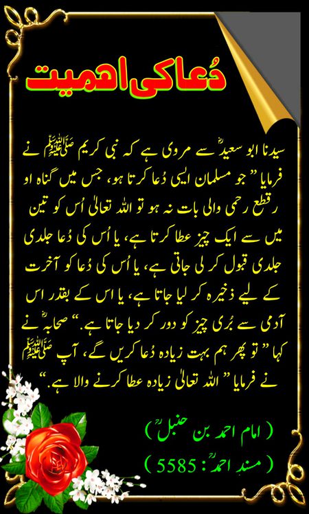 Islamic Quotes image