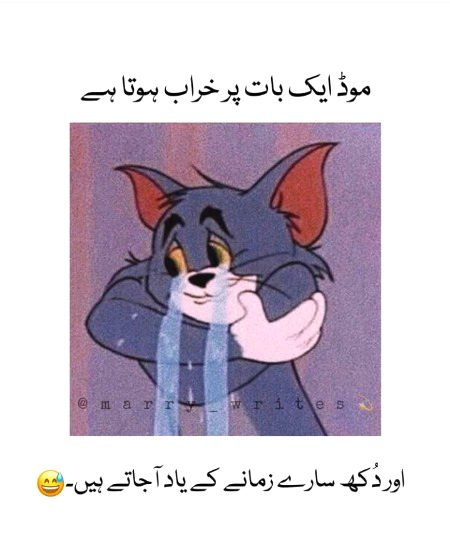 Memes & Satire image