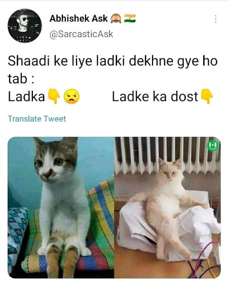 Memes & Satire image