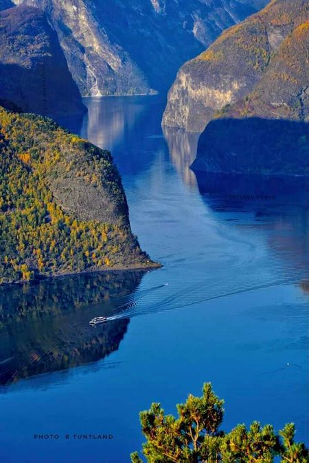 Beautiful Nature image