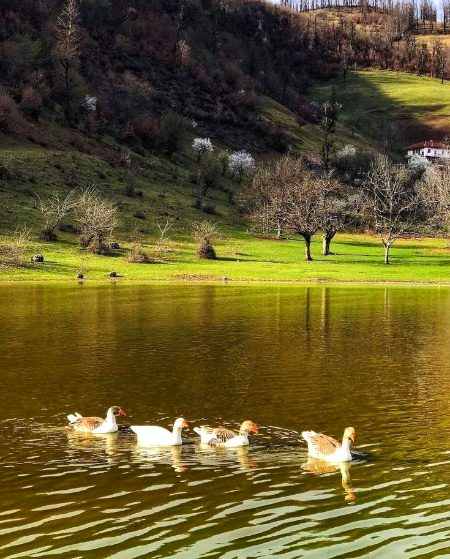 Beautiful Nature image