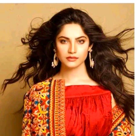 Pakistani Celebs image
