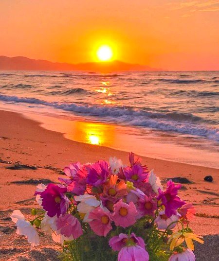 Beautiful Nature image