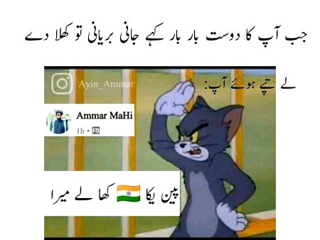 Memes & Satire image