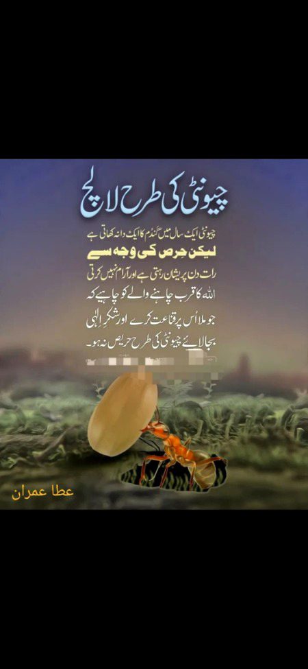 وَإِذْ
And when
ta-adhana
تَأَذَّنَ
proclaimed
rabbukum
رَبُّكُمْ
your Lord,
la-in
لَئِن
"If
shakartum
شَكَرْتُمْ
you are thankful,
la-azīdannakum
لَأَزِيدَنَّكُمْۖ
surely I will increase you;
wala-in
وَلَئِن
but if
kafartum
كَفَرْتُمْ
you are ungrateful
inna
إِنَّ
indeed,
ʿadhābī
عَذَابِى
My punishment
lashadīdun
لَشَدِيدٌ
(is) surely